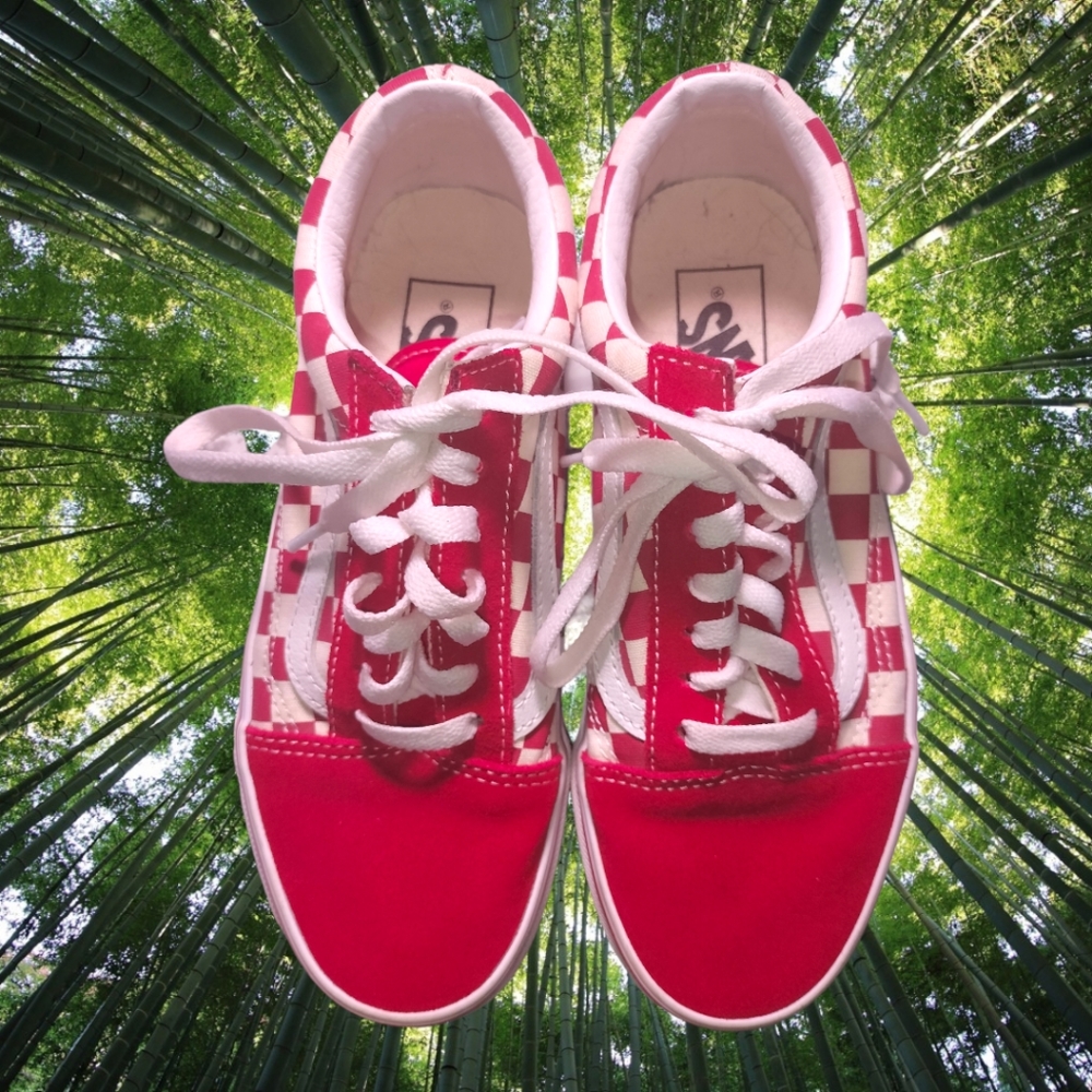 Red & white checkered Vans